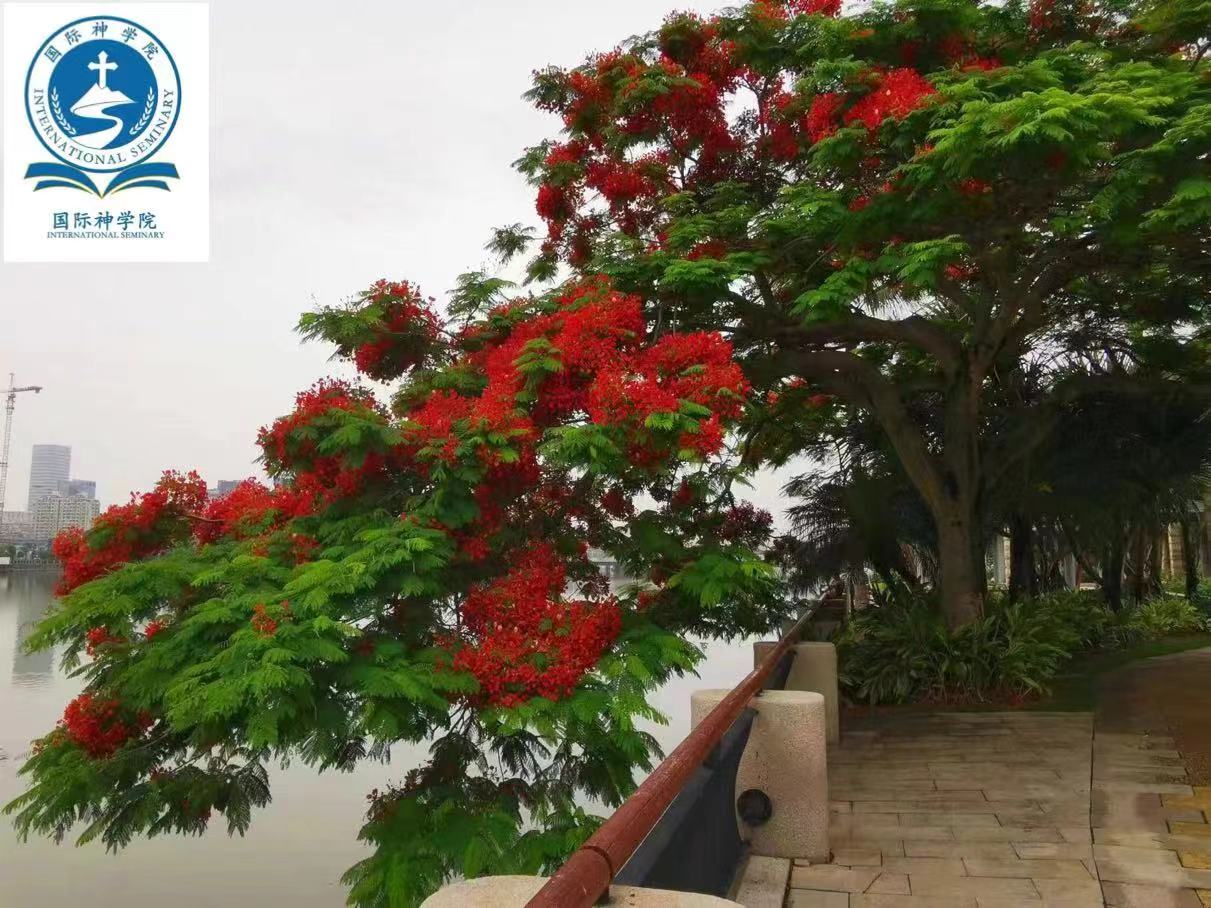 航天科技惠民生 澎湃发展新动能