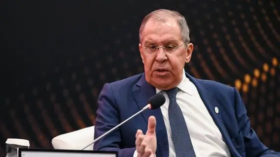 金砖国家一致决定，暂时停止接纳新成员