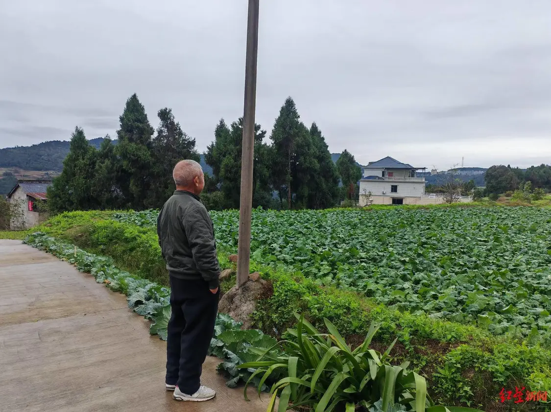 夫妻进城务工十年后回村种地，妻子被卷入收割机